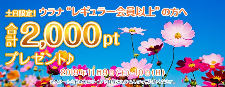 11月1,000PTキャンペーン